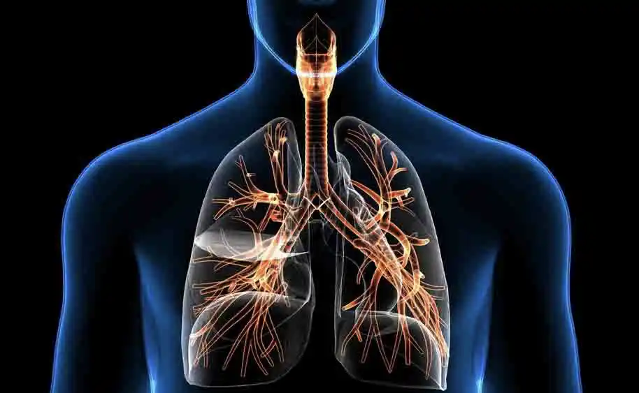Bronchite sintomi, cause e diagnosi