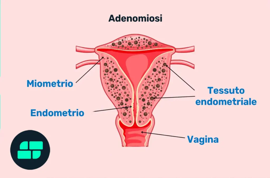 Anatomia dell'apparato riproduttivo femminile