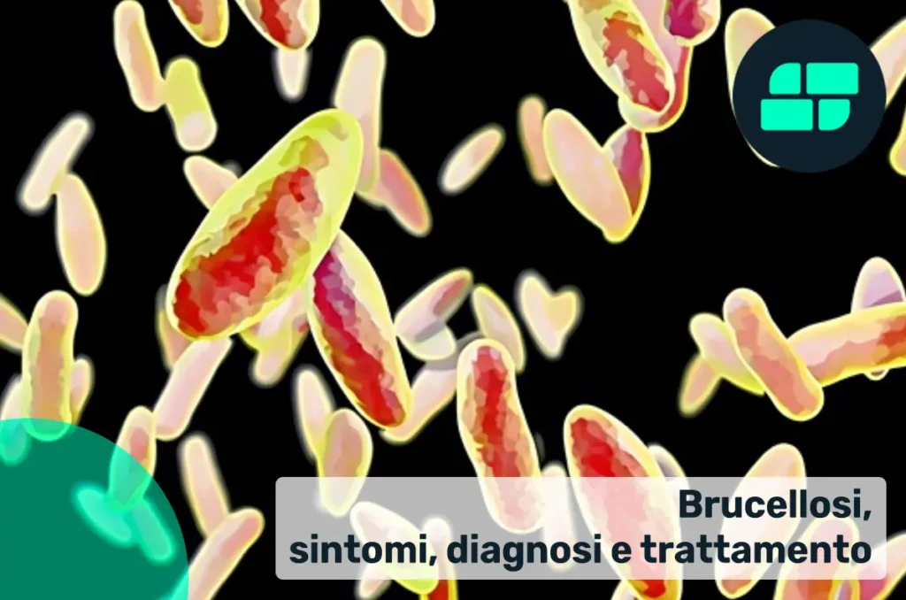 Sintomi Brucellosi