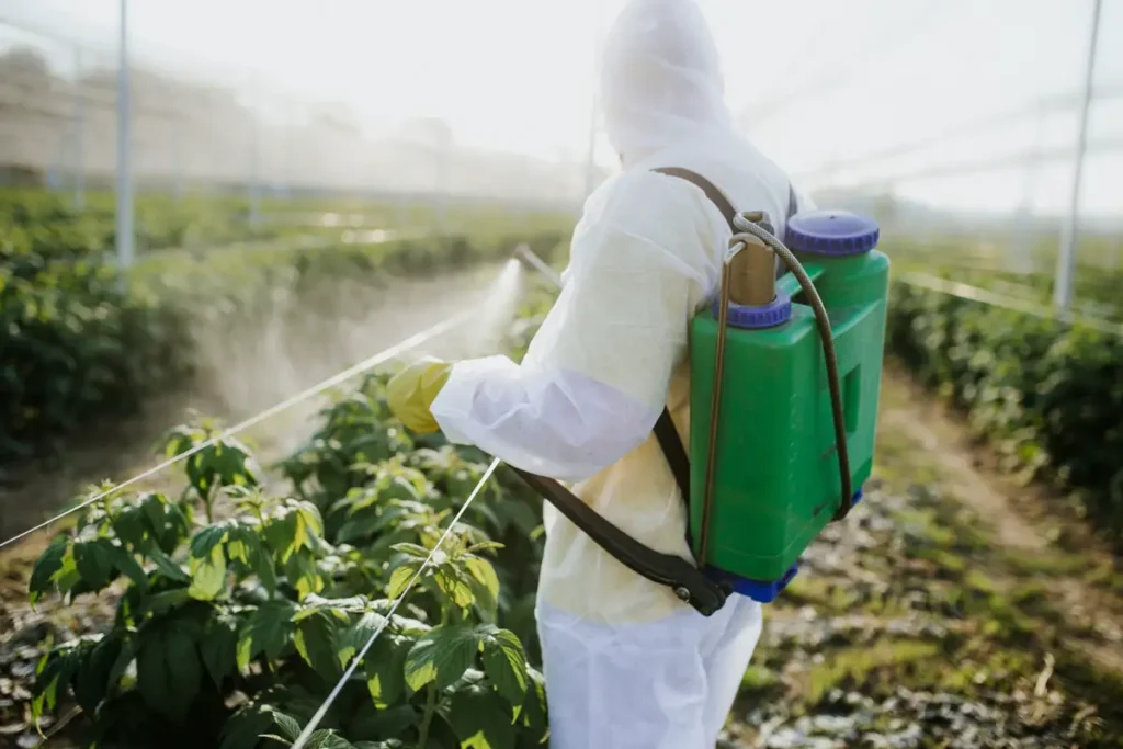 I metodi più efficaci per rimuovere i pesticidi da frutta e verdura: lavaggi con acqua, bicarbonato, aceto, sbucciatura e sbollentatura