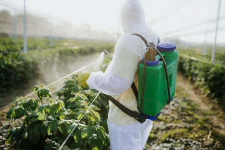 I metodi più efficaci per rimuovere i pesticidi da frutta e verdura: lavaggi con acqua, bicarbonato, aceto, sbucciatura e sbollentatura