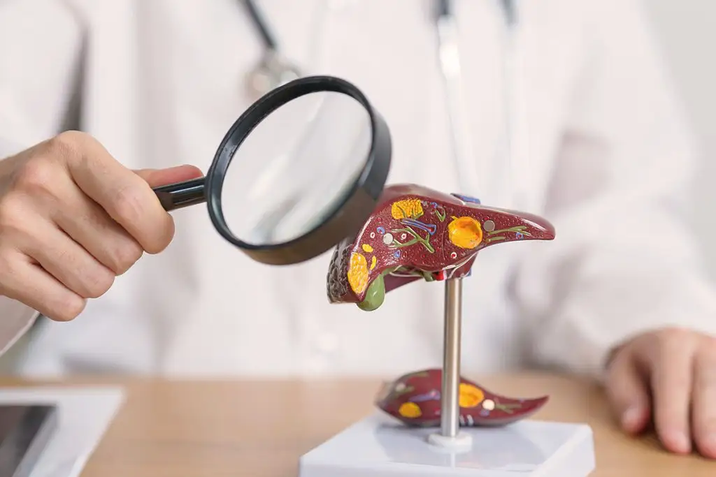 La diagnosi precoce e la gestione adeguata della steatosi epatica