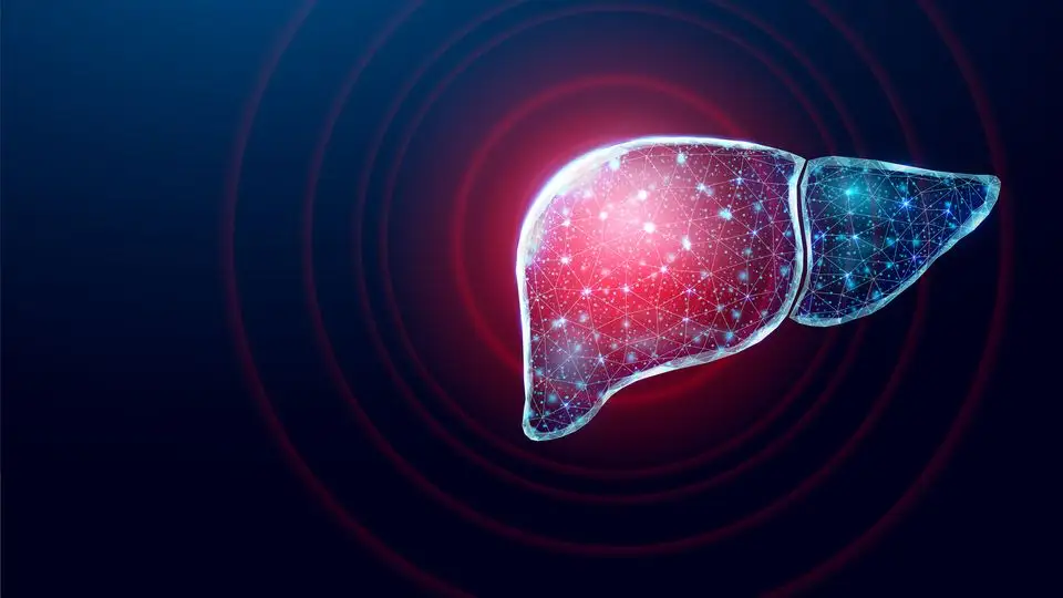 Steatosi epatica, sempre più diffuso il fegato grasso: diagnosi, rischi e innovazioni tecnologiche