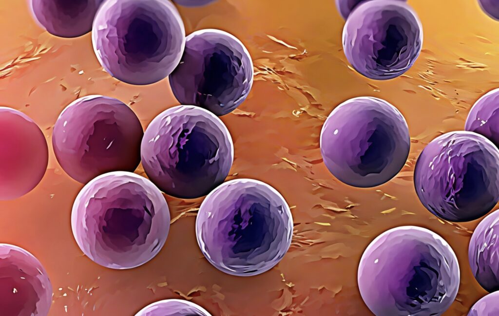 Sintomi impetigine