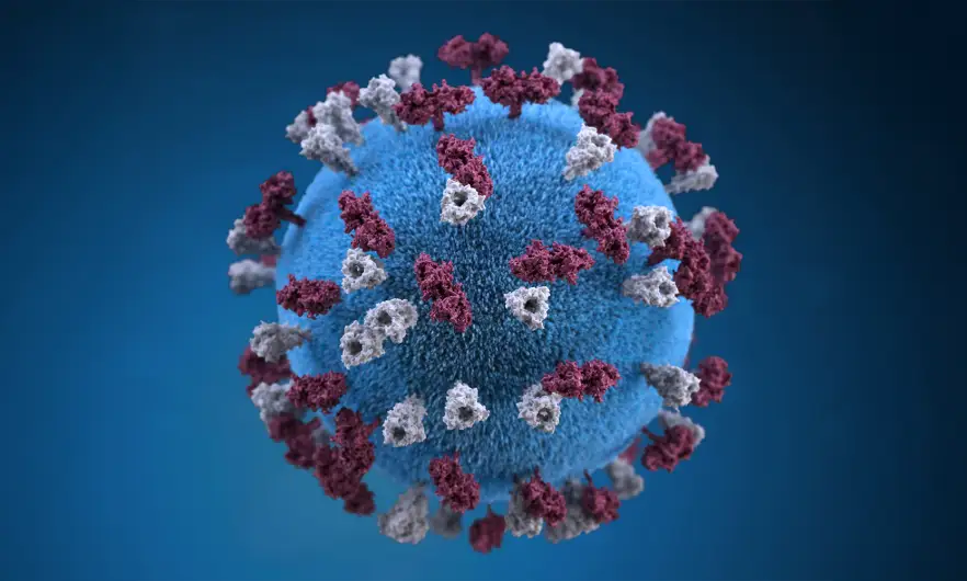 Immagine del virus del morbillo