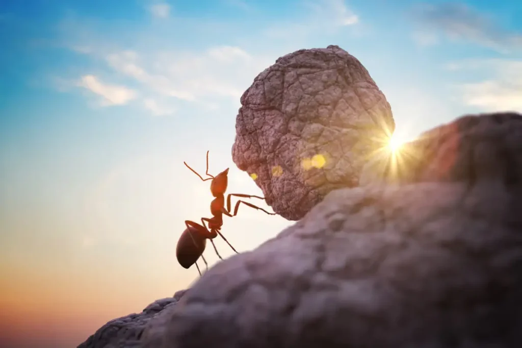 Scopri tutto sul sollevamento pesi: benefici per la salute, miti da sfatare, come iniziare e consigli di esperti. Allenati in sicurezza con esercizi, alimentazione e strategie per ogni età e livello. Ottimizza forza e longevità